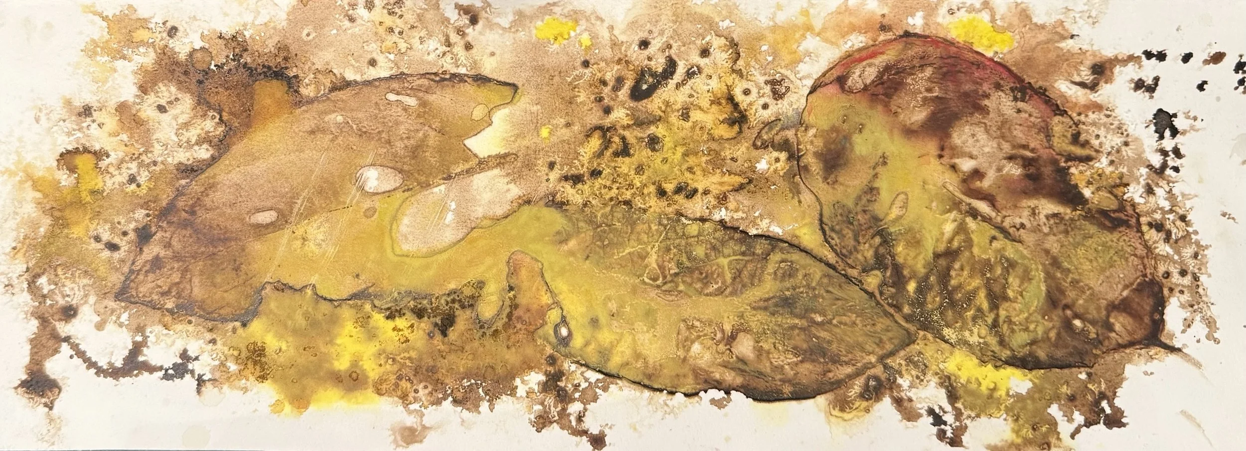 First Stage of Decay