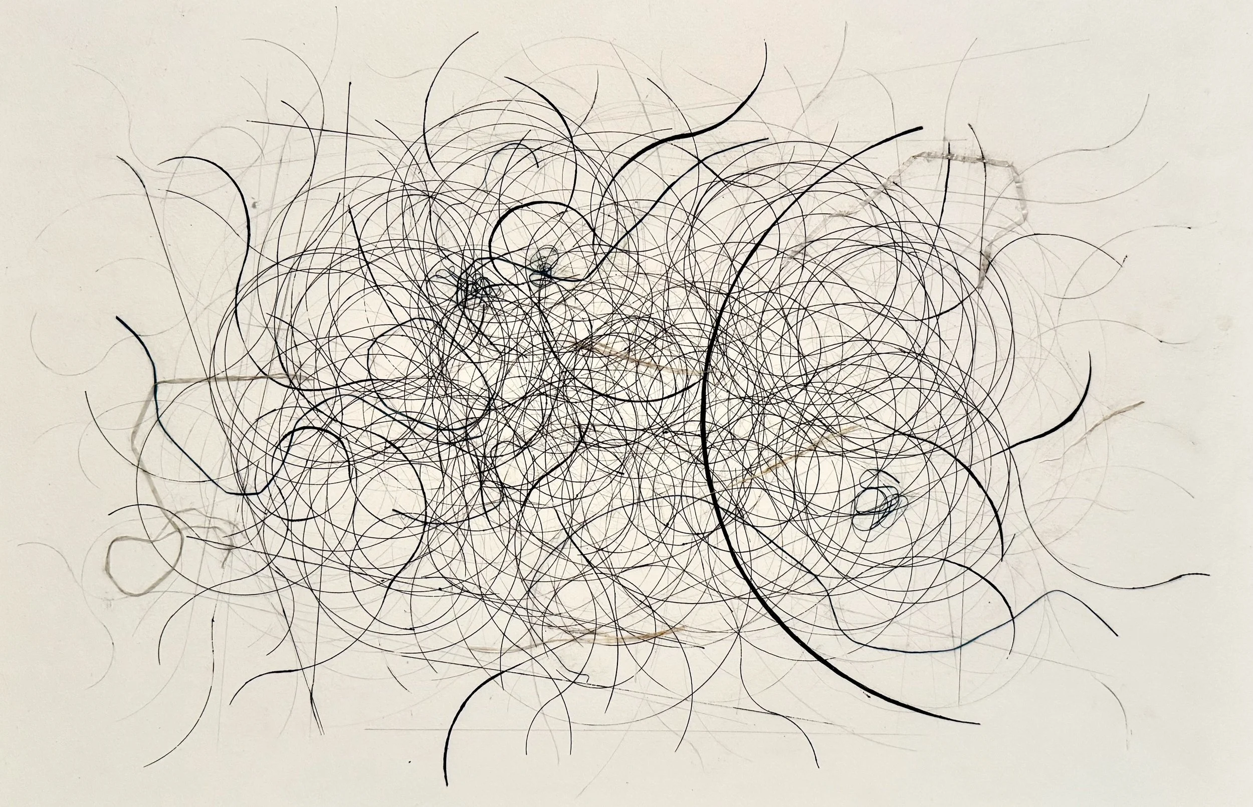 Welcome to the Roost