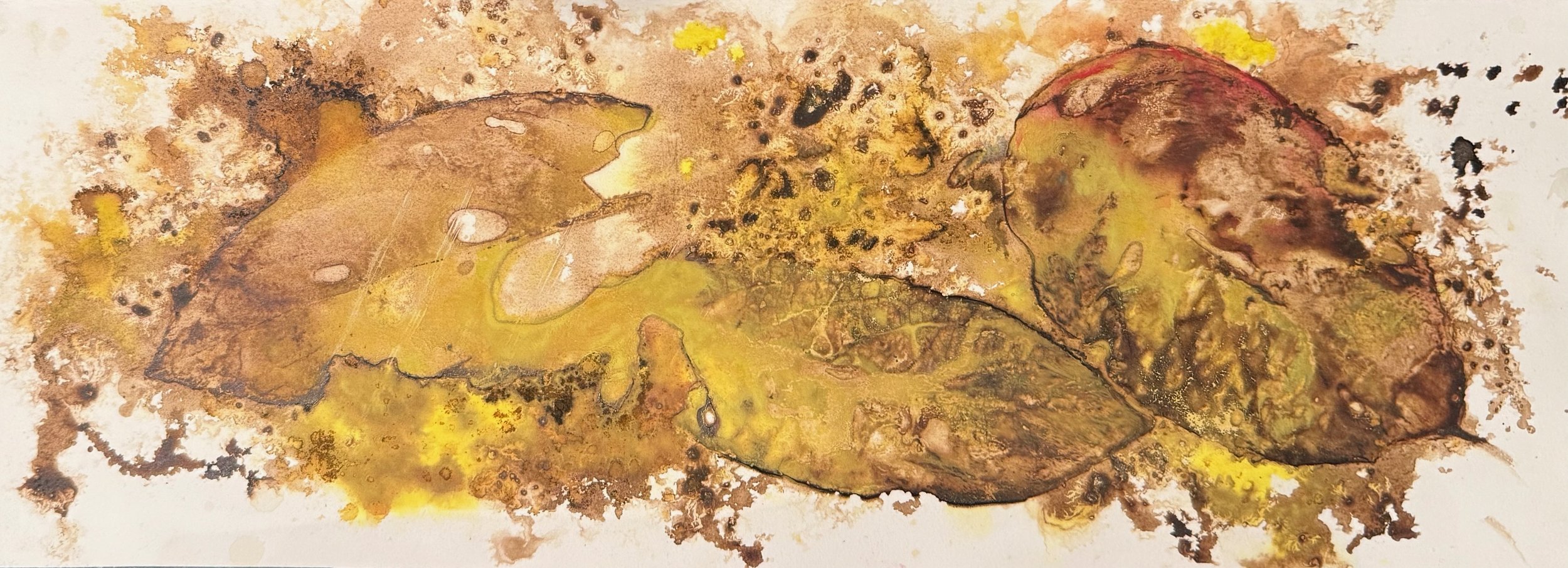 First Stage of Decay