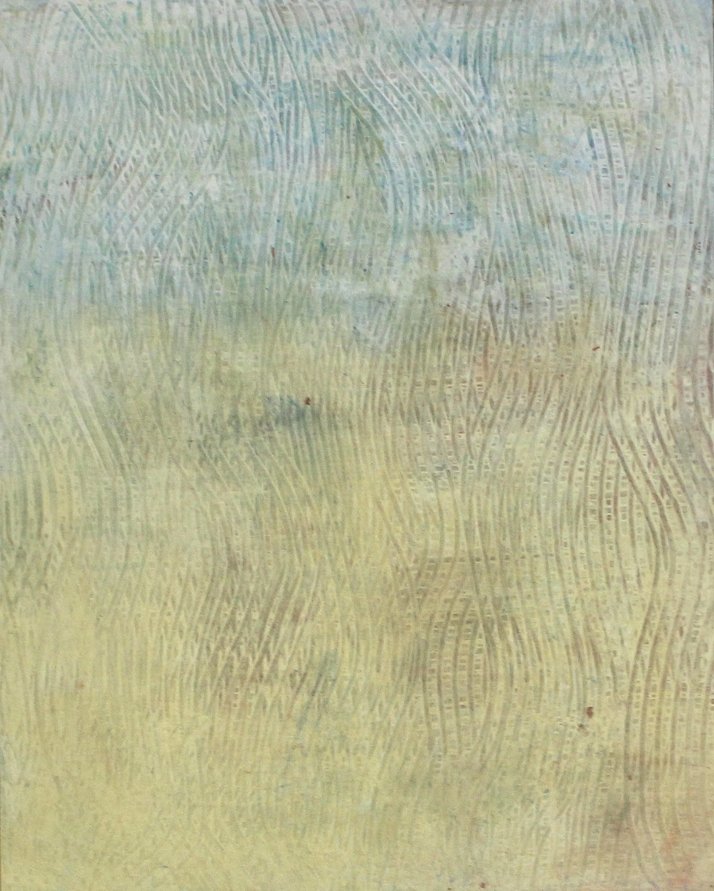 The Wind & The Marsh