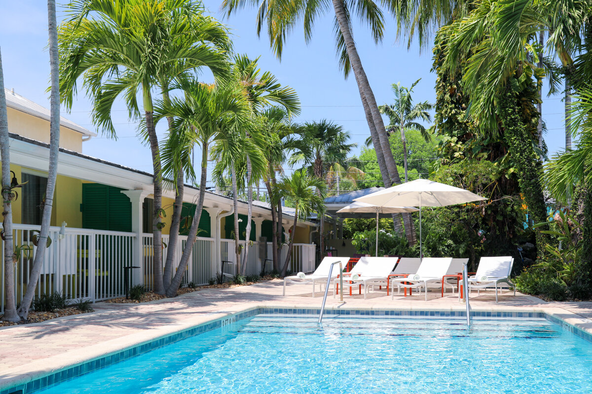 pool and surrounding palm trees at the Almond Tree Inn