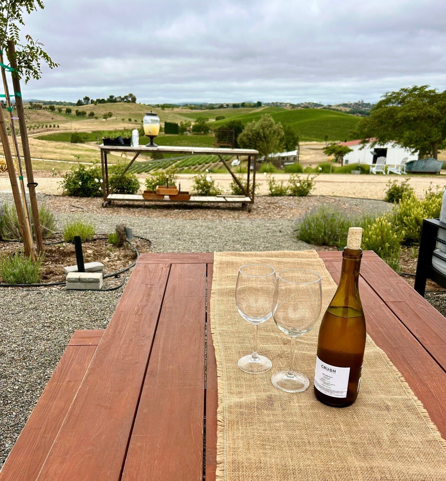 Hey Wine Fest-ers!!! 👋🍷 ⁠
⁠
Why don't you bring your favorite bottle to Hambly Farms and enjoy that wine with a view? ⁠
⁠
We're open all day today, Sunday, and Monday from 10am-4pm so don't leave town without coming to see the lavender farm! It's t