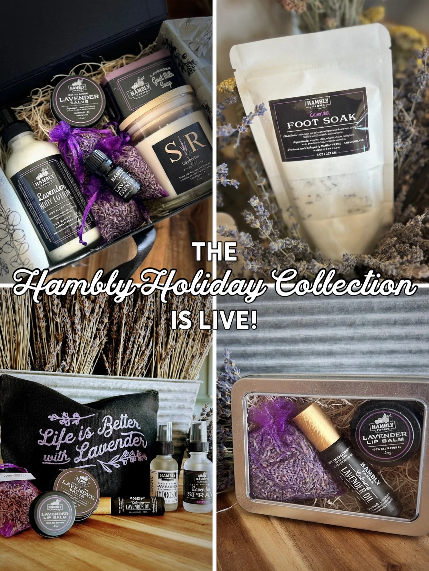 The Hambly Holiday Collection is officially here! 🎁 

Our most anticipated collection of the year is now available, but don&rsquo;t wait too long! Subscribers got first access earlier this week, and many of our limited-edition items are already star
