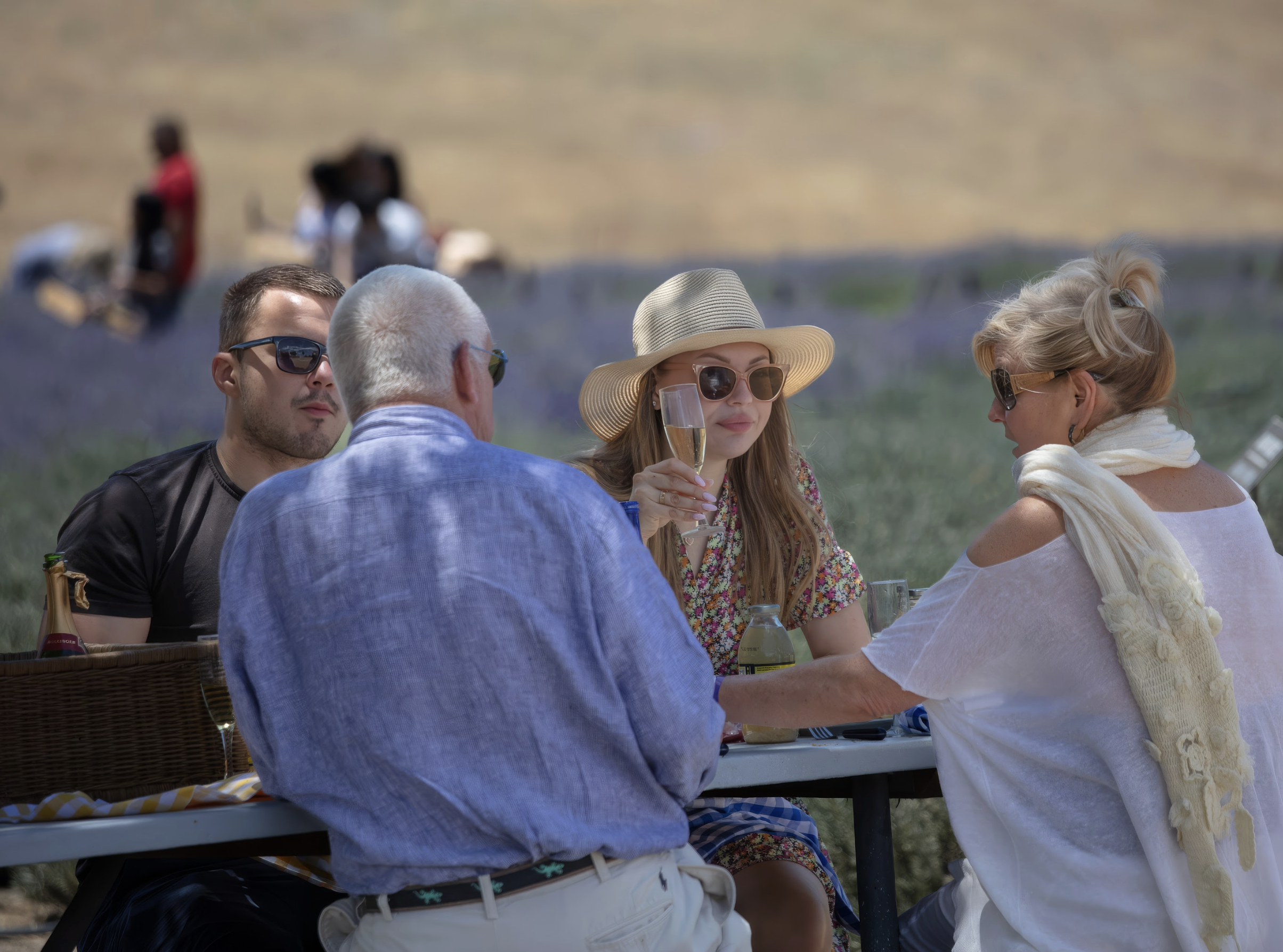 Screenshot 2026-02-17 at 4.13.21 PM.png