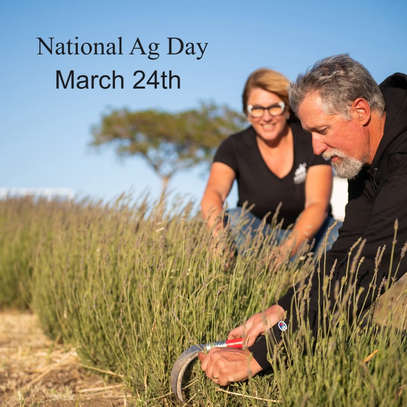 Thank you to all the hard working farmers and ranchers for bringing food to our tables and flowers to our homes! 
#NationalAgDay #thankafarmertoday #slocal #travelpaso 
Photo Cred: @brittanyapp 
@farmbureauwomen  @slofarmbureau