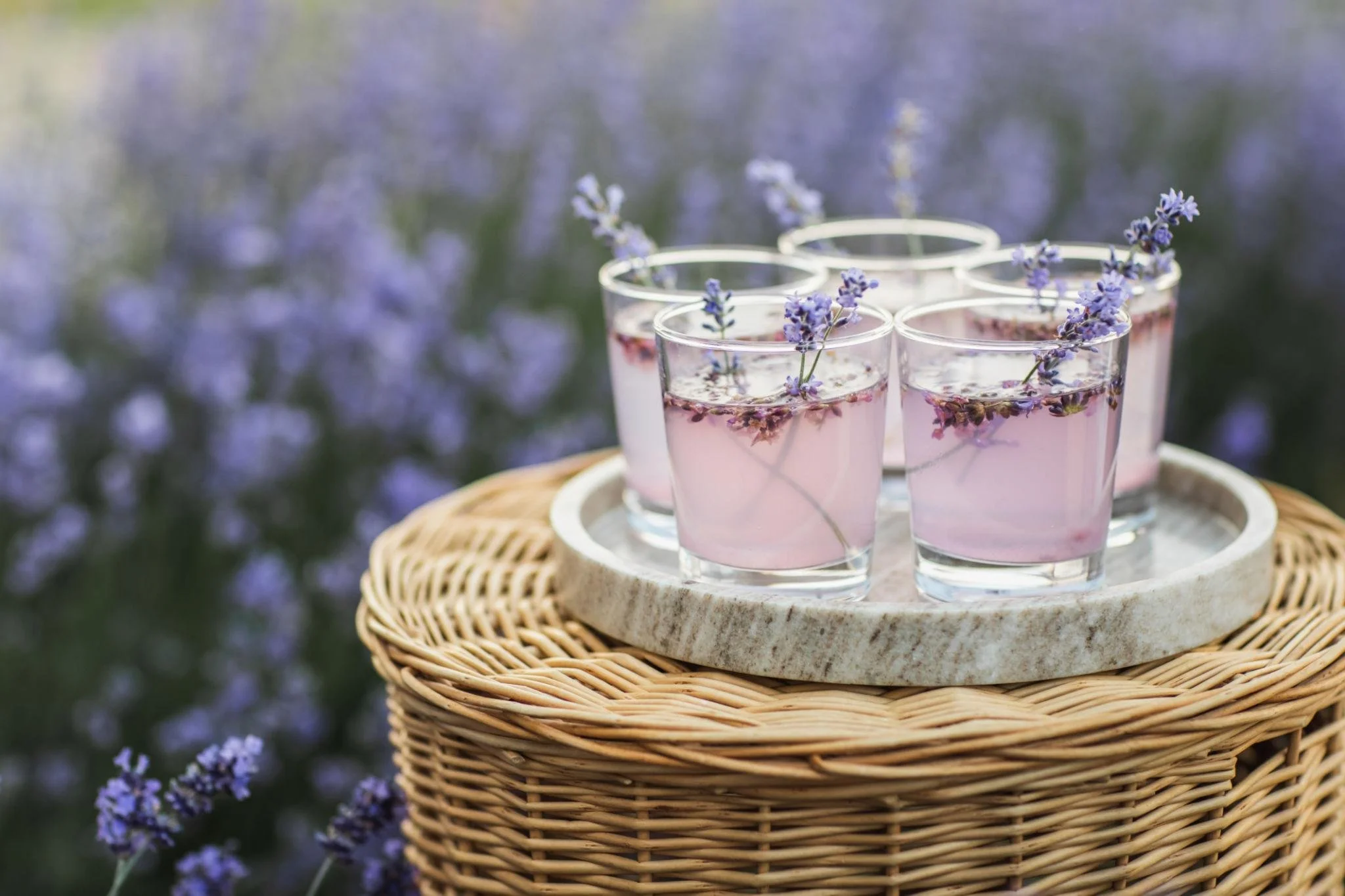 lavender cocktails.jpeg