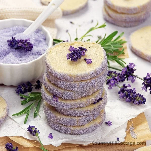 Cooking with Lavender: Easy Ways to Bring Lavender to the Table