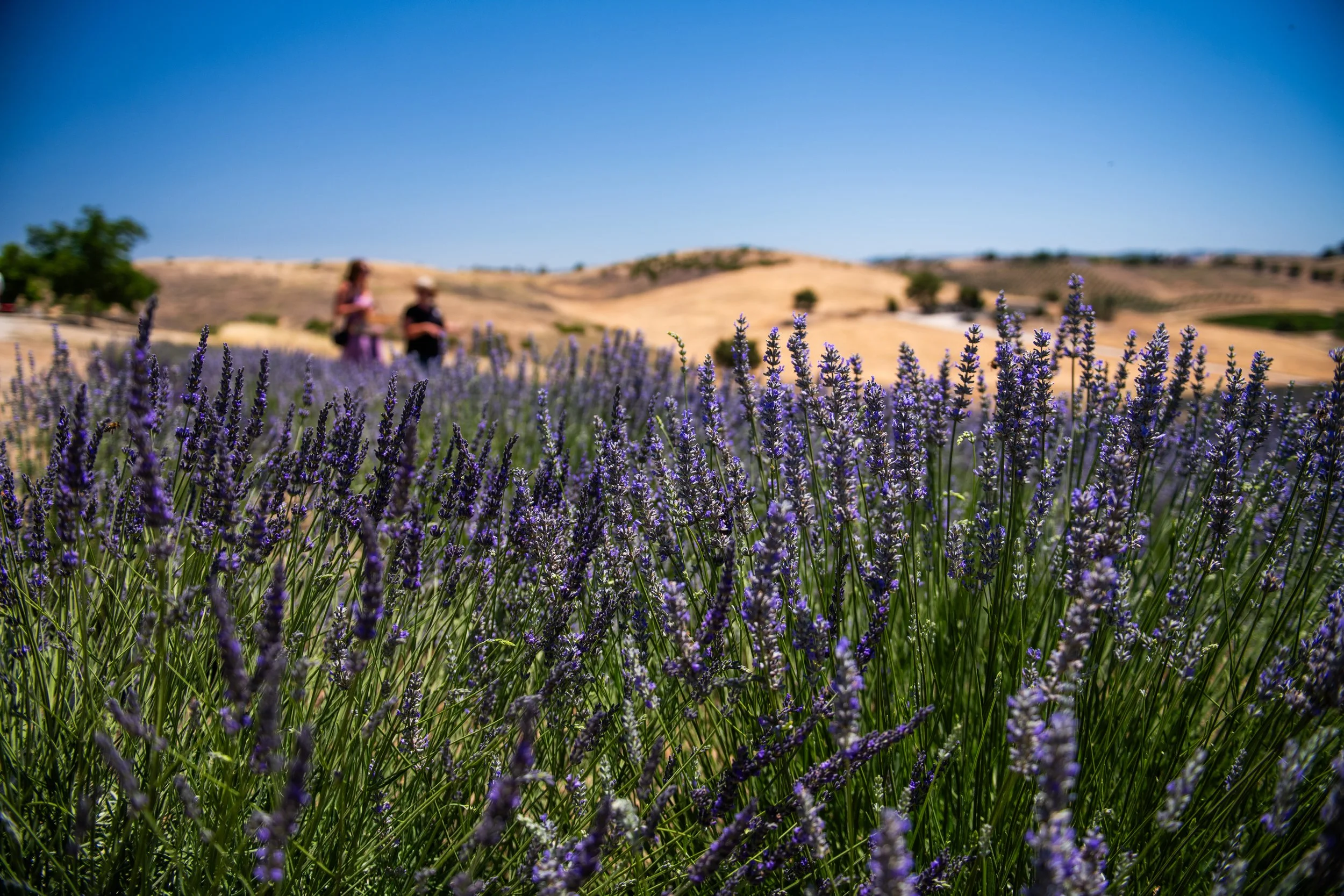 Full Moon iPhone Photography Workshop