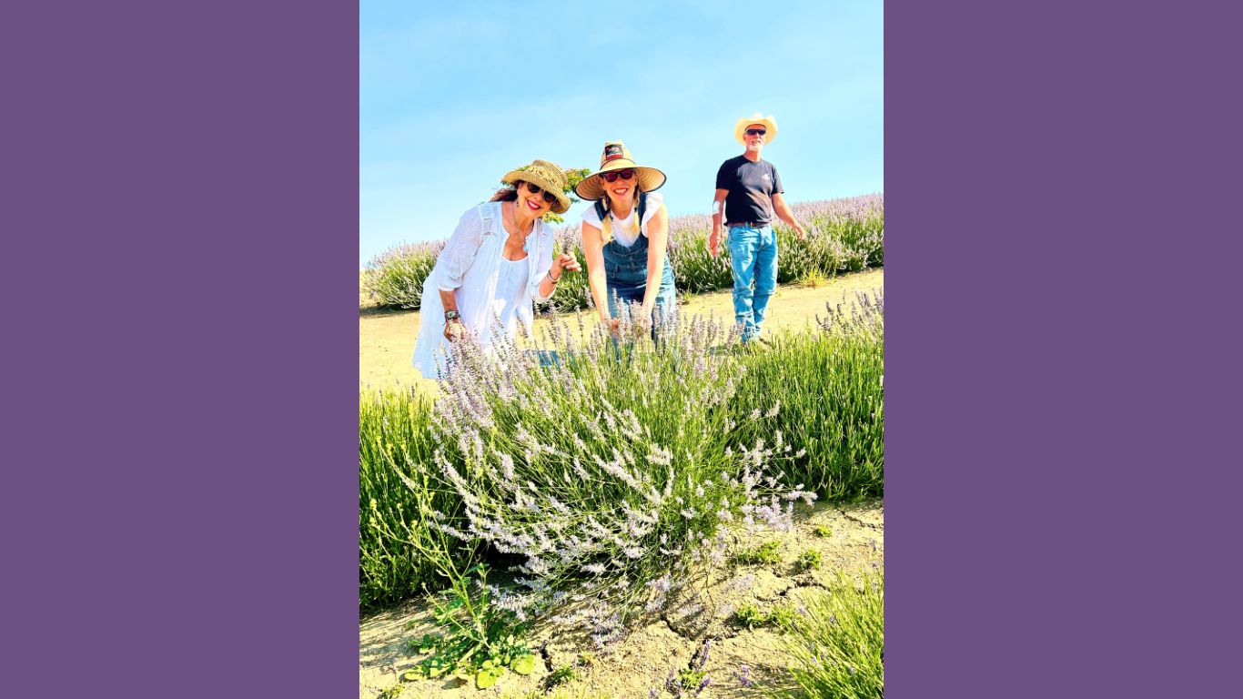 Untitled design 3.PNG