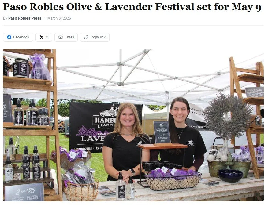 Hambly Lavender Farm at the Olive and Lavender Festival