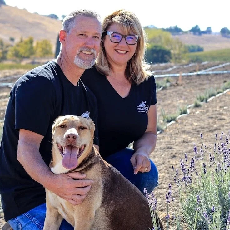 Hambly Lavender Farm Farm tour, products, experience. Honey, Lavender