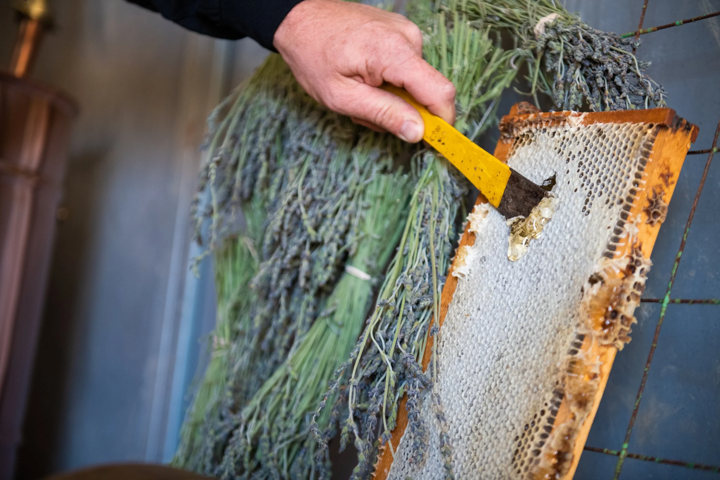 Sierra Honey Farm Honey.jpg