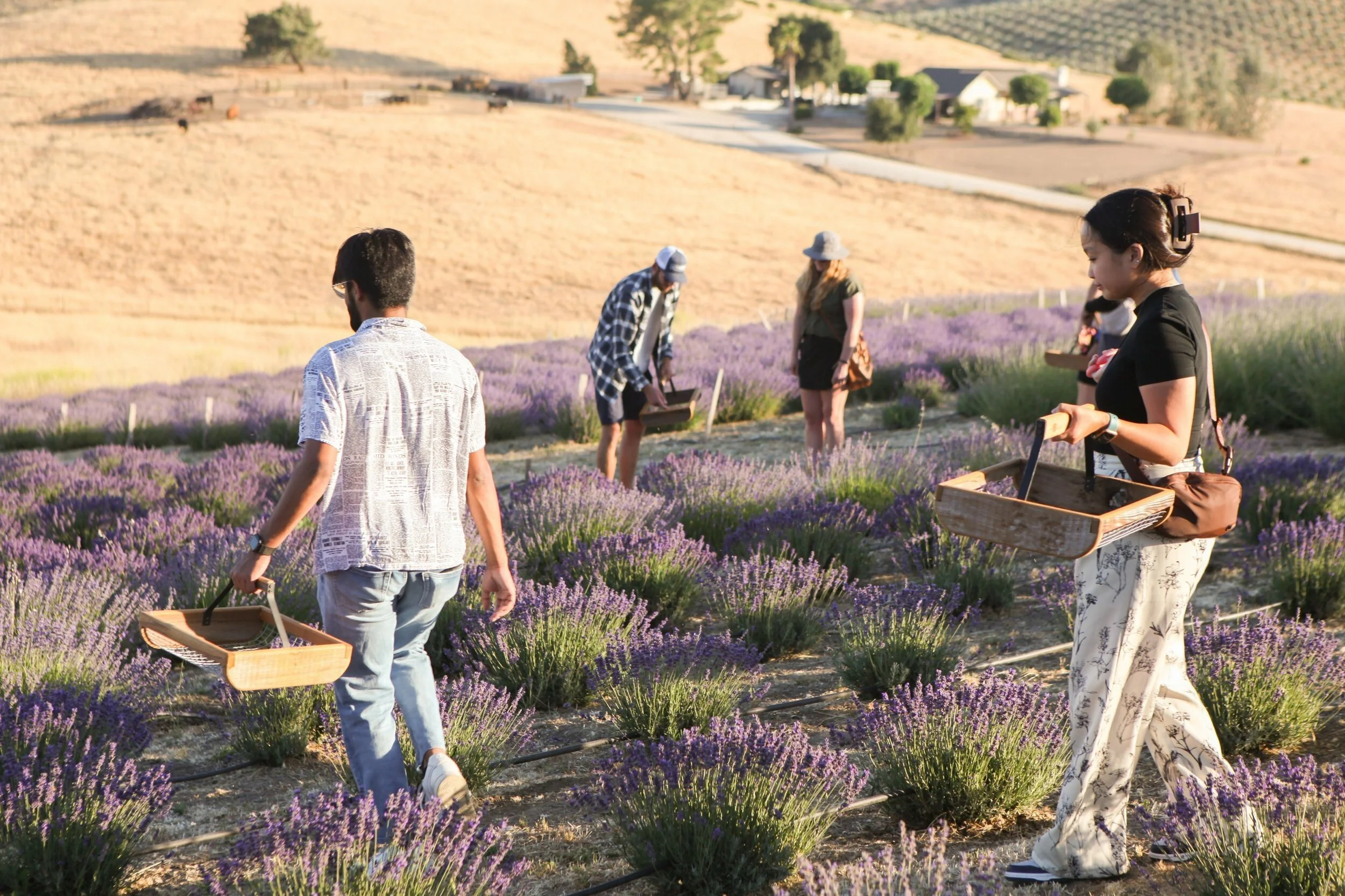 What’s the Difference: U-Pick or Guided Farm Experience?