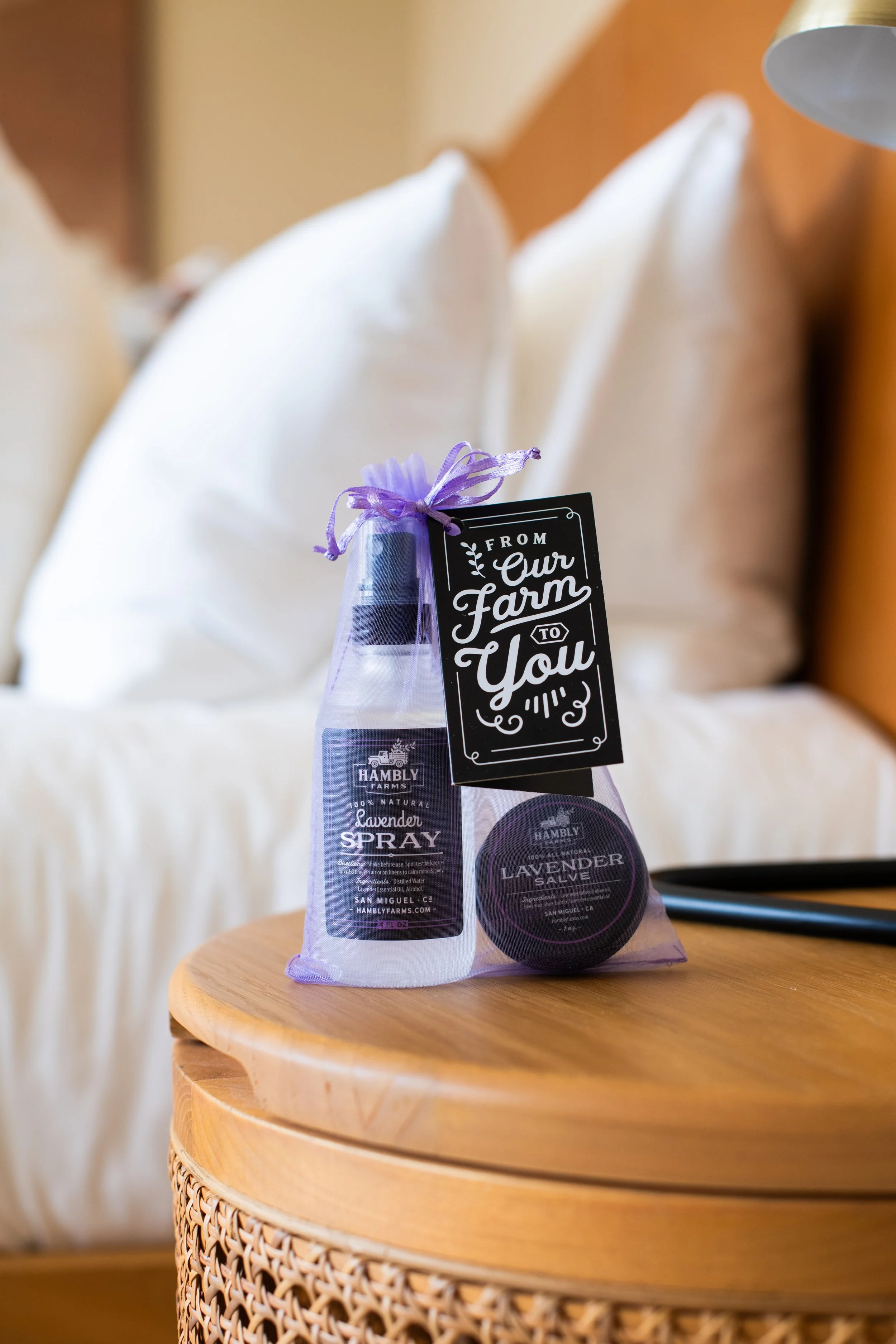 Take It With You Set (Mini)