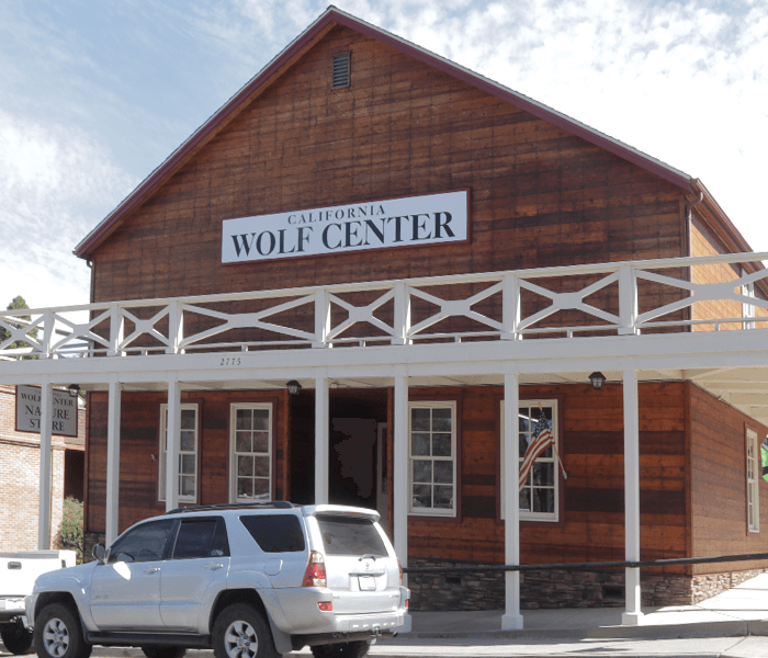 visit the julian wolf nature store