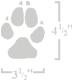 wolf paw print size