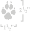 coyote paw print size