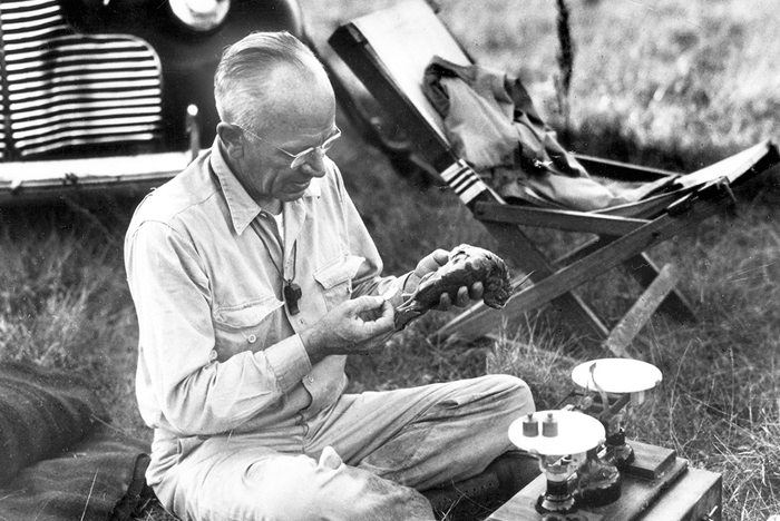 aldo leopold working in the field