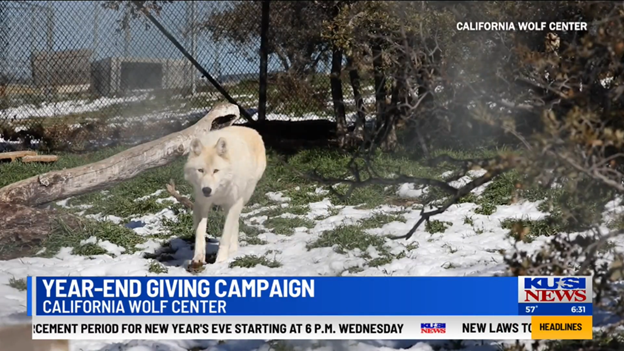 KUSI News: CWC’s 2025 Year-End Appeal