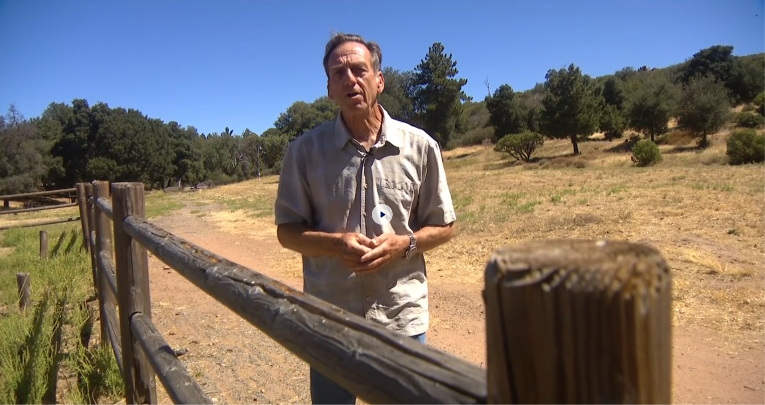 California Wolf Center plans to expand education, conservation efforts