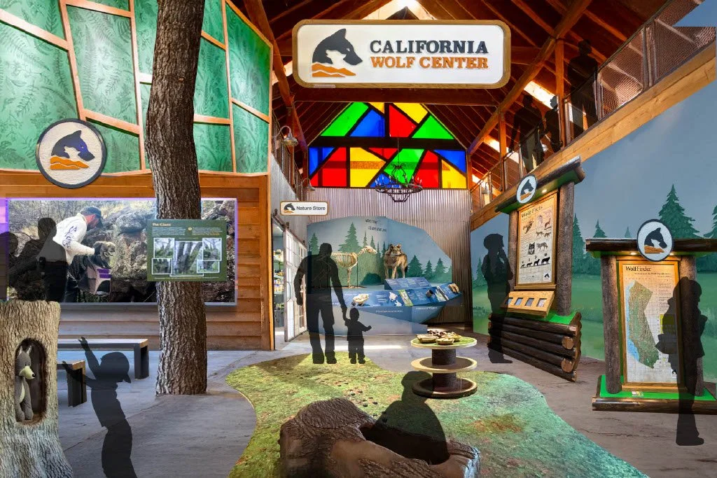 Press Release: California Wolf Center Launches $3 Million Capital Campaign to Create Next-Generation Campus