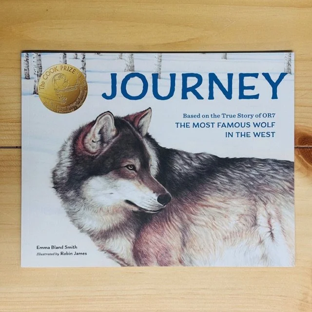 Journey by Emma Bland Smith