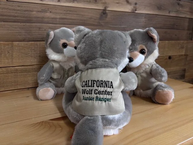 CWCJrRangerPlush_02.jpg