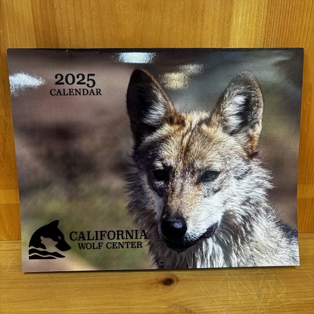 2025 Calendar.jpg