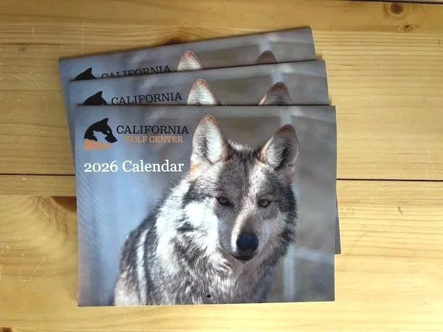 2026+CWC+Calendar_Front.jpg