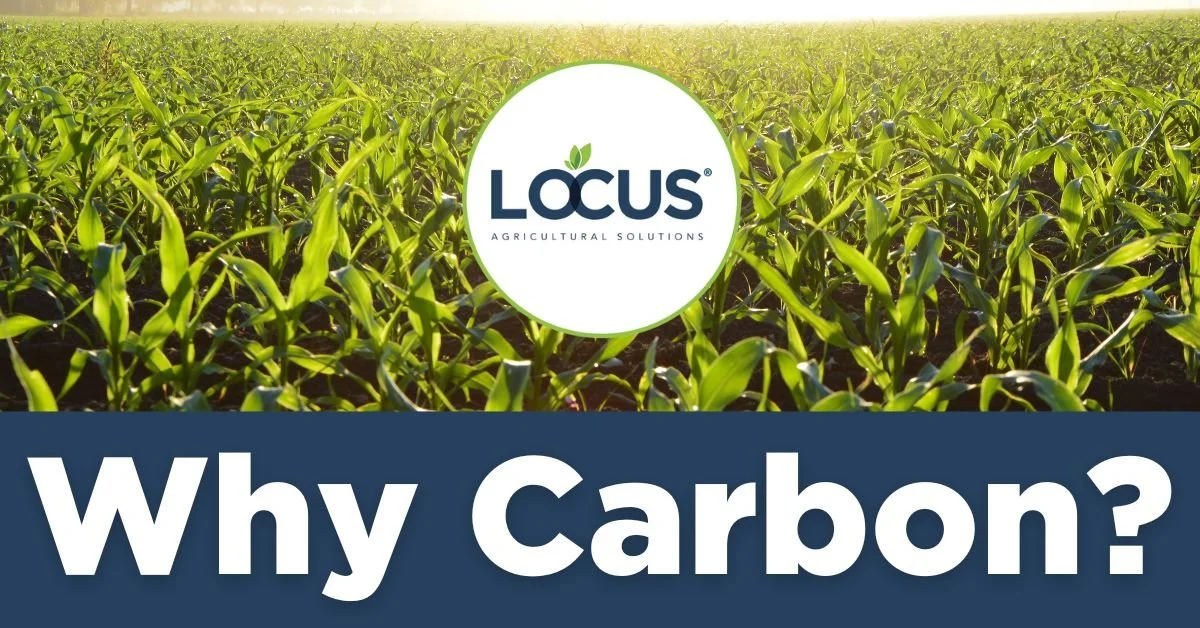 Carbon Farming & Your Bottom Line