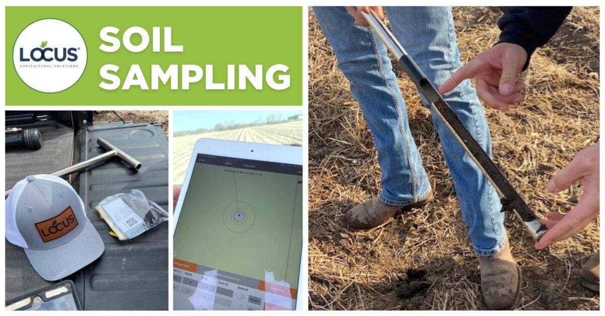 Soil Sampling: Understanding its Importance & Methods