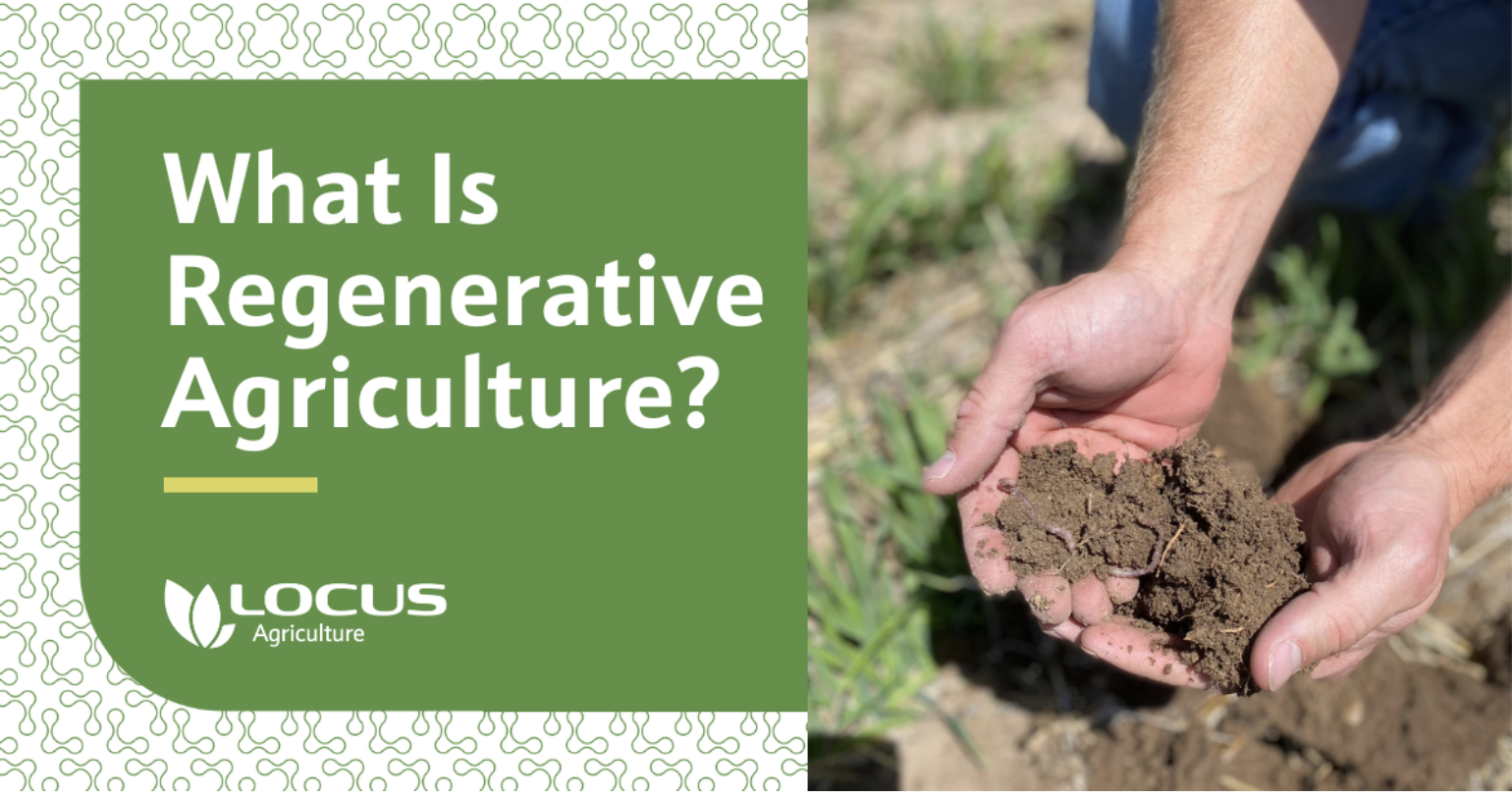 How regenerative agriculture creates lasting benefits for people and planet