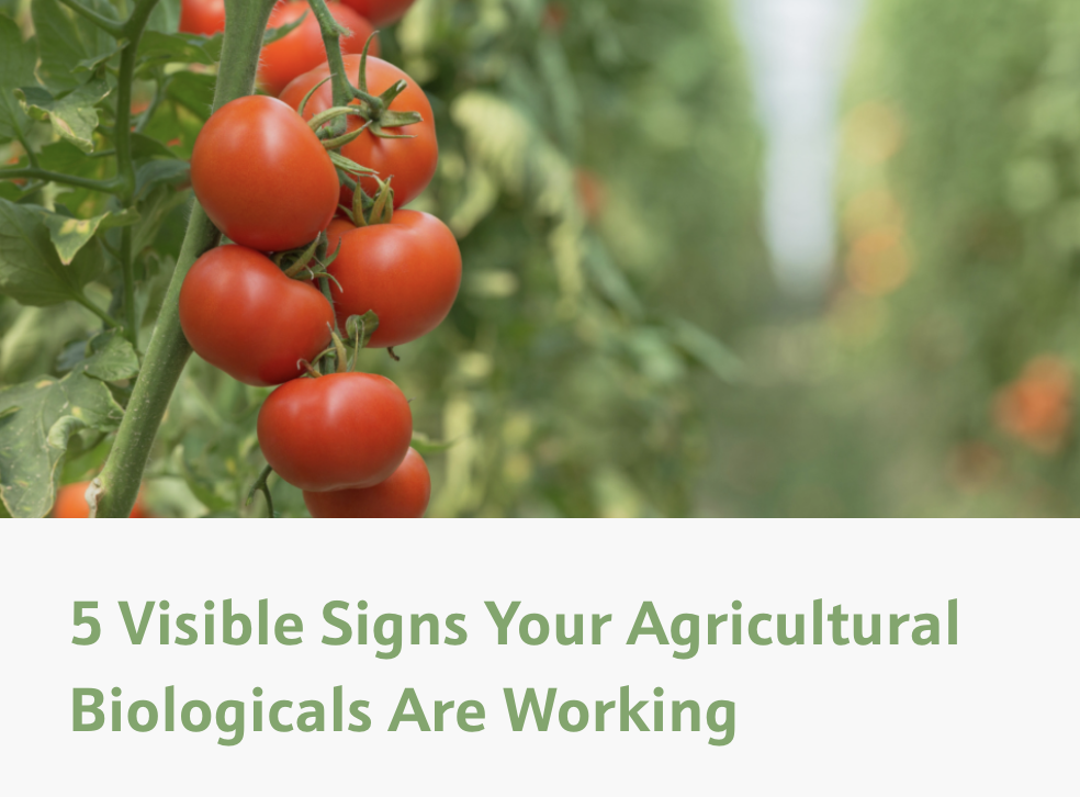 5 Visible Signs Your Agricultural Biologicals Are Working