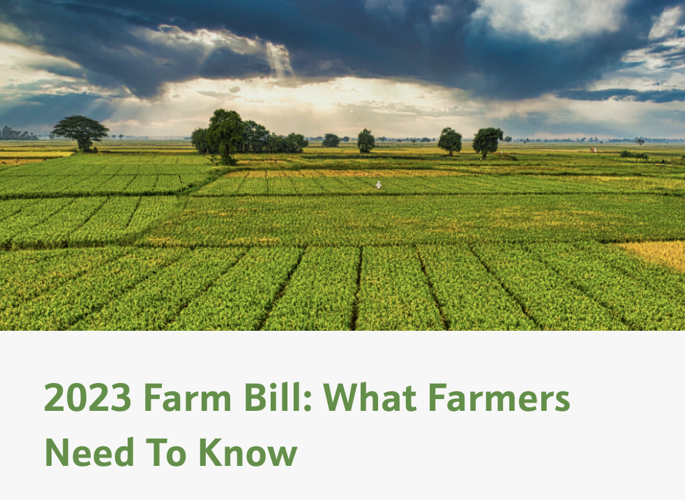 2023 Farm Bill: What Farmers Need to Know