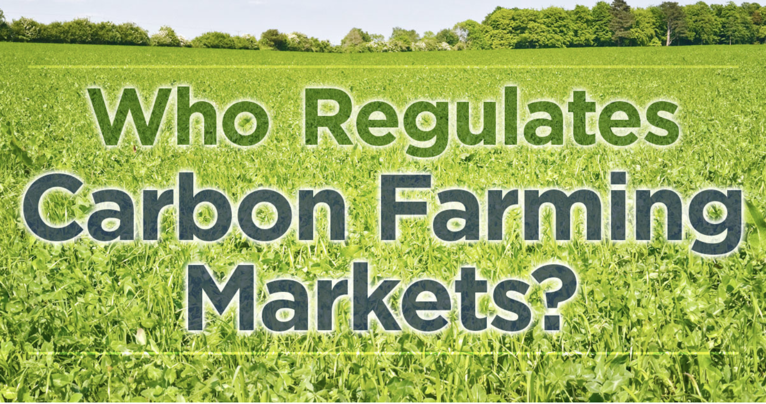 How Third-Party Companies Verify Carbon Farming Programs
