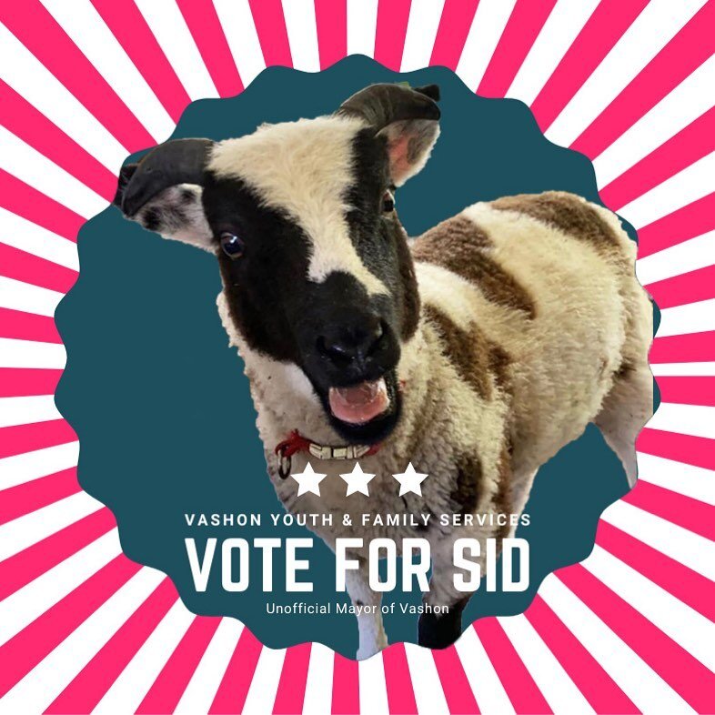 Vote for Sid! Only 3 months old, Sid might just be the youngest mayor candidate Vashon has seen yet.* A vote for Sid is a vote for Vashon families in need since Sid is running on behalf of Vashon Youth and Family Services.

Hope you got a chance to s