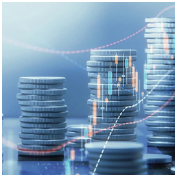 INVESTMENT MANAGEMENT