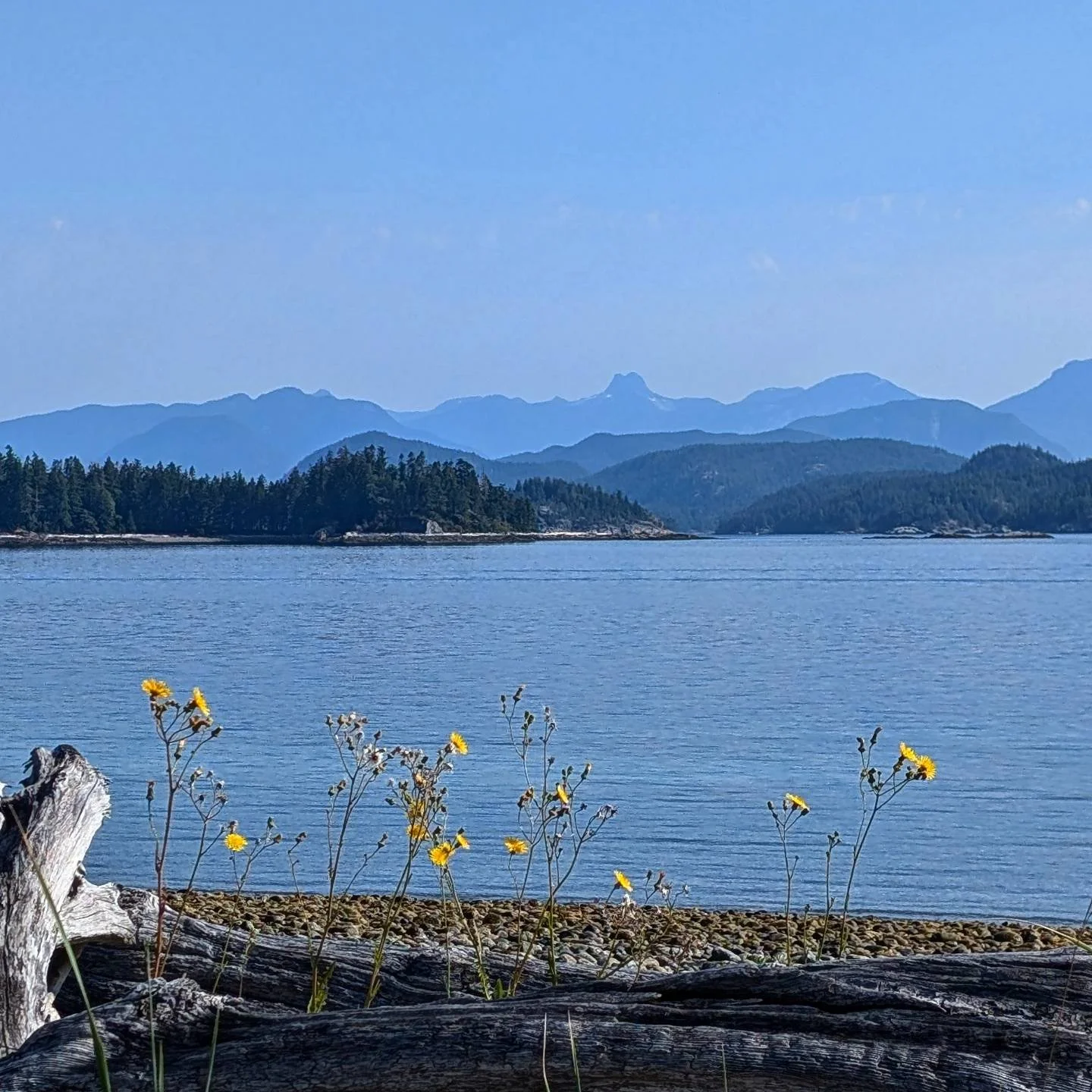 β±οΈ Believe it or not... It's not common for us to have 'beach days.' 
I think it's because we're on the water all the time, we don't think about it. 
It's weird, idk, doesn't matter. 
Either way... on Sunday we packed a cooler, our camping chairs,