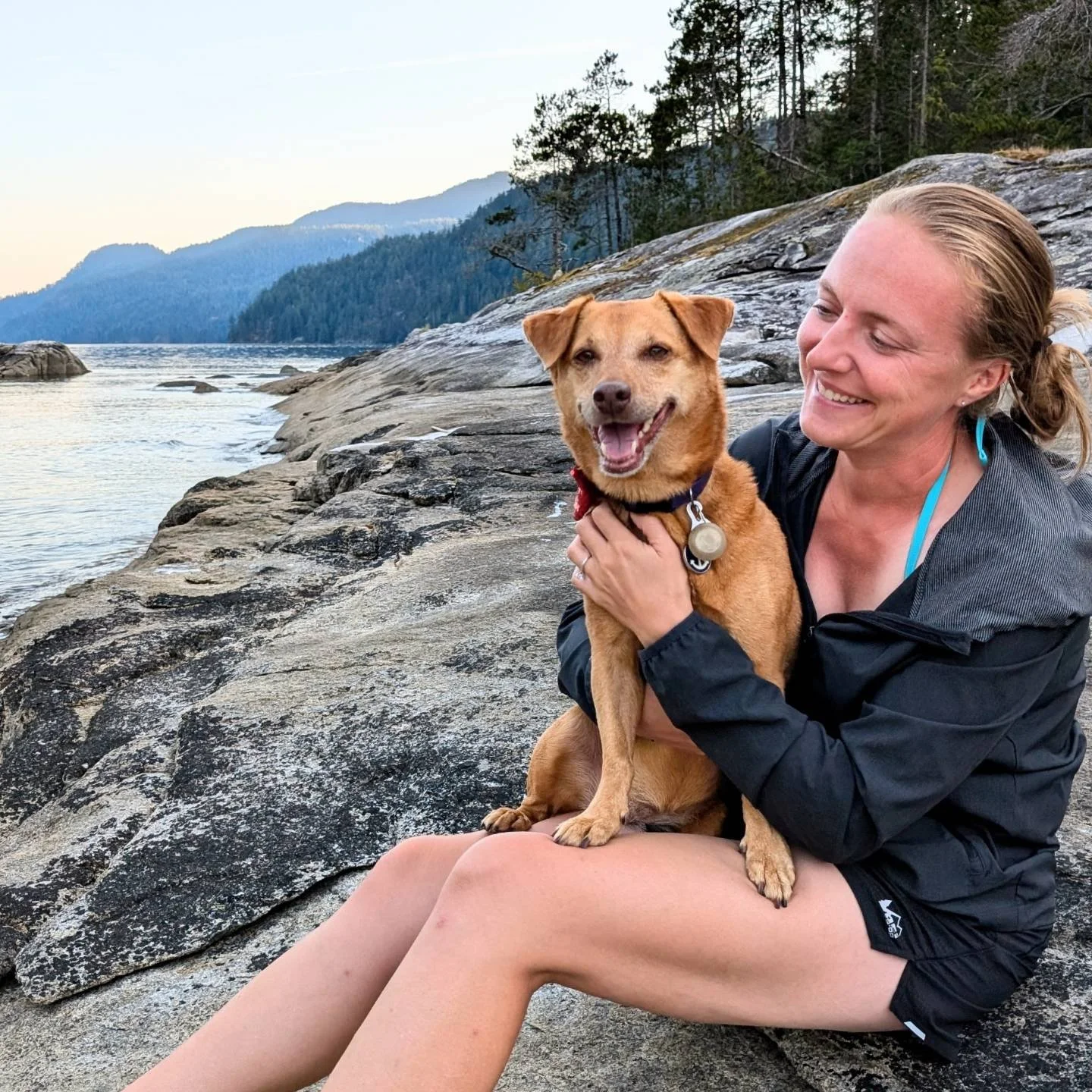 πΎ Happy National Dog Day to all the puppers! We couldn't imagine our life without @mauitraveldog our little bundle of joy. π₯°