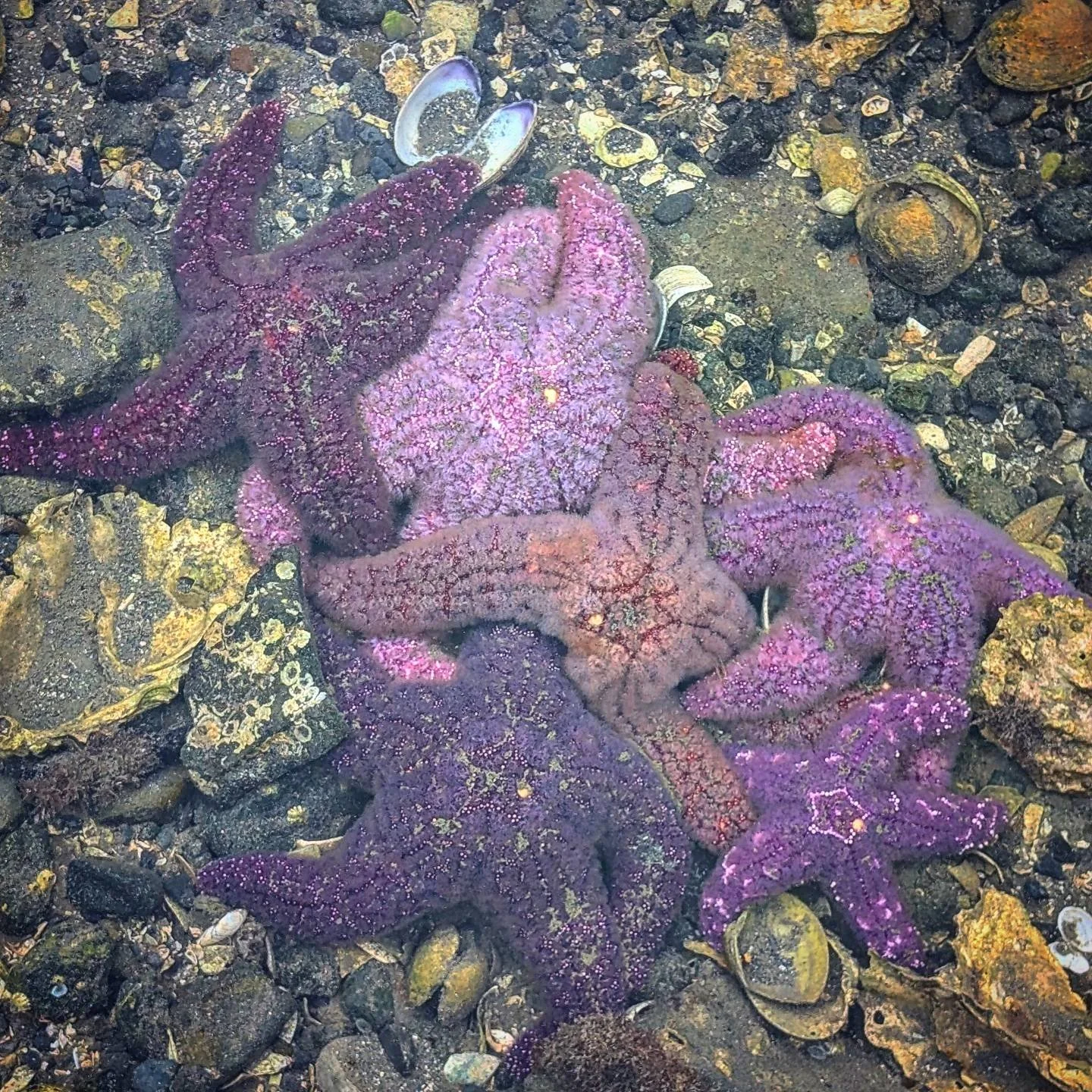 π Cuddle Party π«Ά