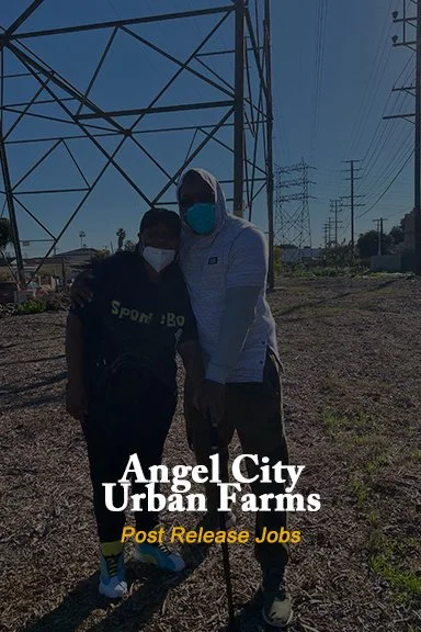 Angel-City-Urban-Farms.jpg