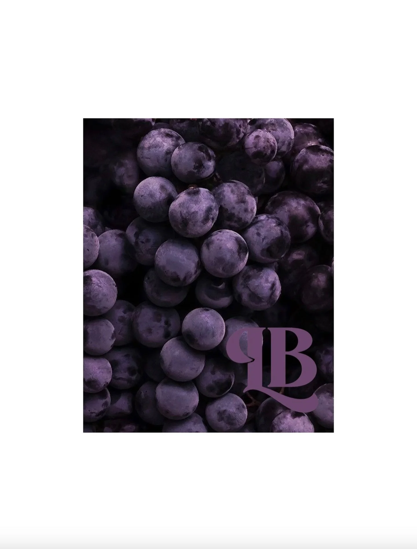 La Boca Edibles 🍇🍬 🍃🍯
.
.
.
.
.
fashion photography art beauty