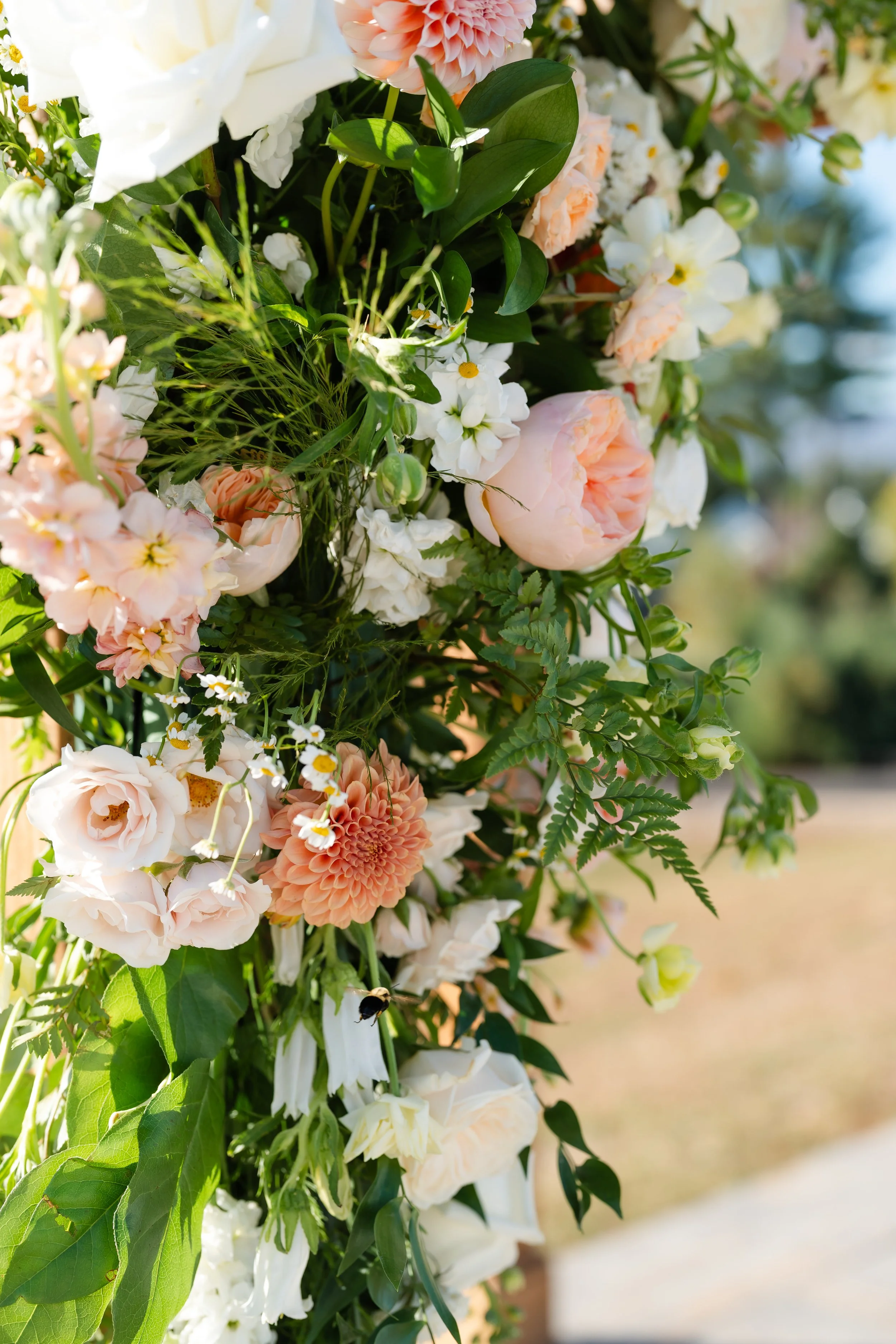BGP-The-McNeillys-Details-11.jpg