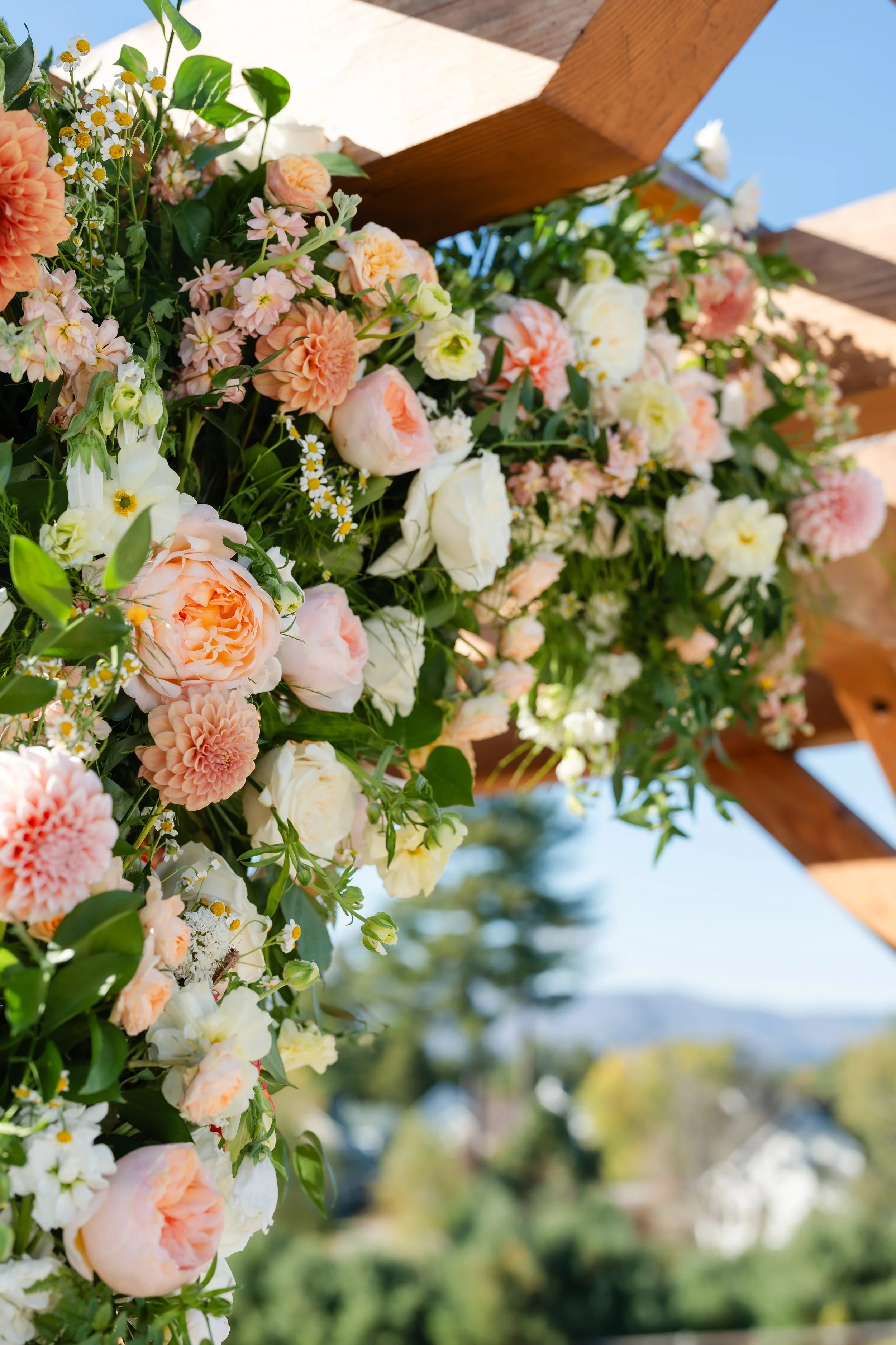 BGP-The-McNeillys-Details-10.jpg