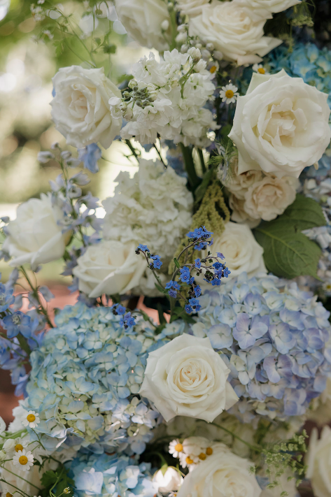 Screen Shot 2025-11-21 at 5.42.19 PM.png