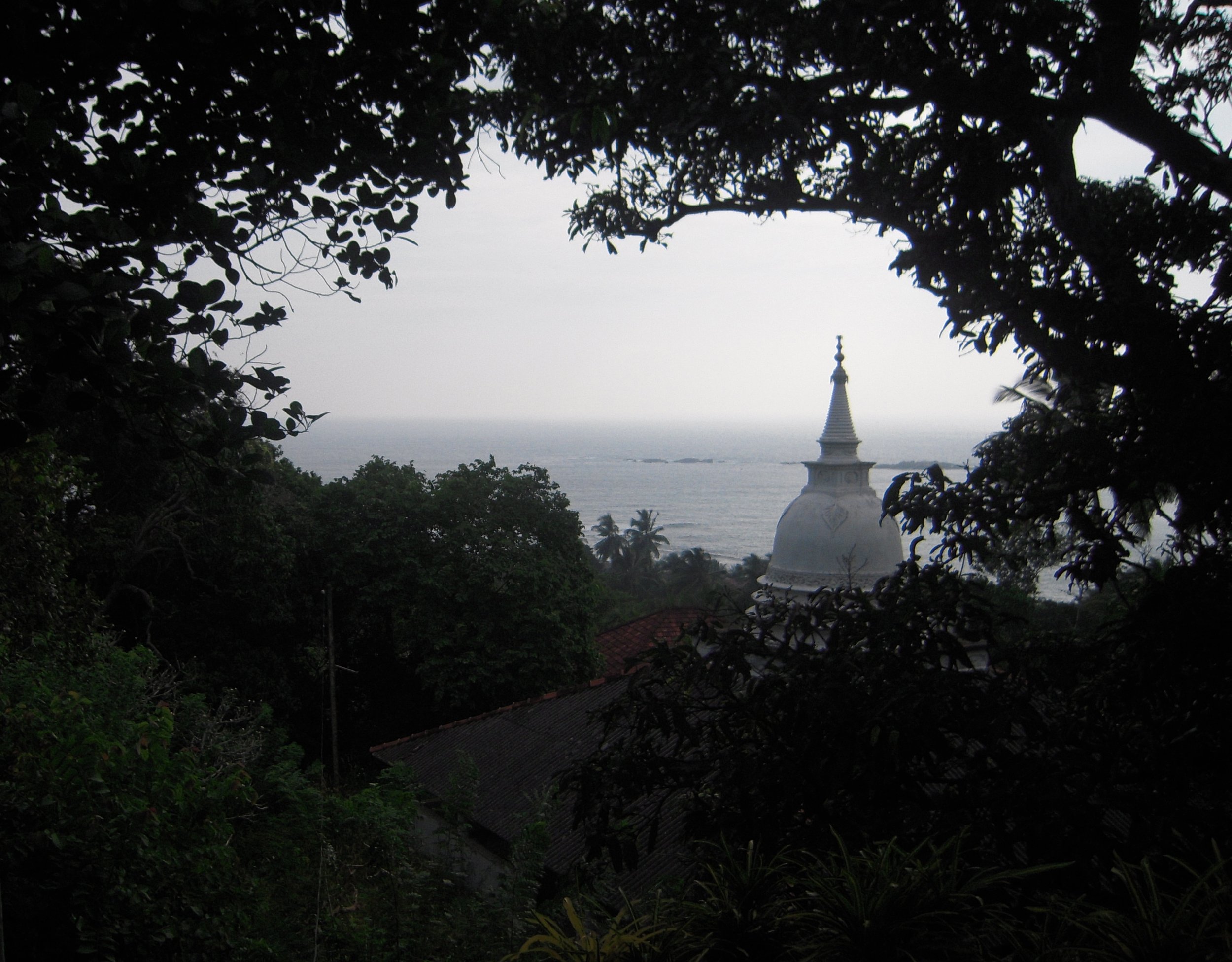 DSCN6873.JPG