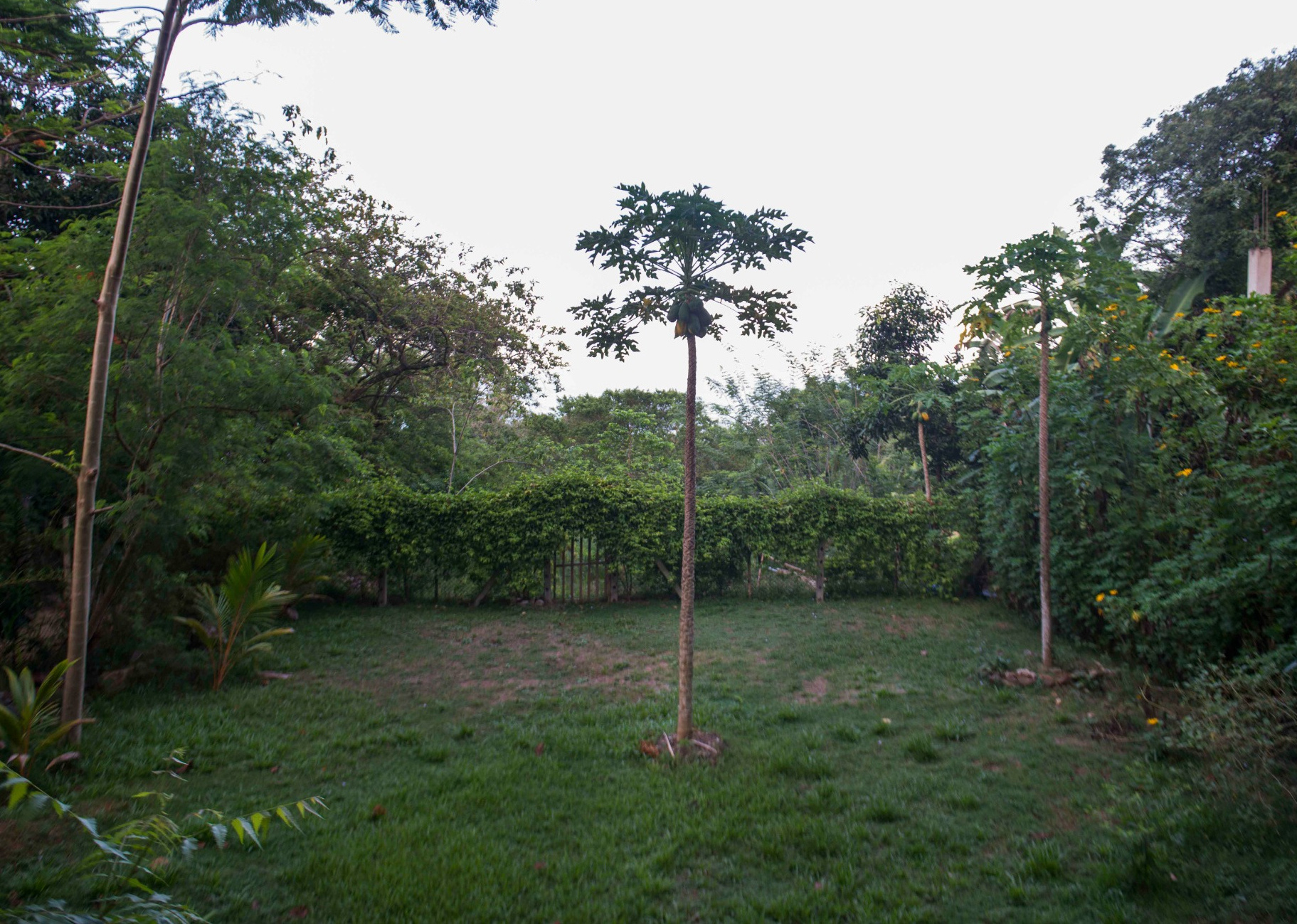 Unakanda_ProductiveGarden_2016_registered_v2.png