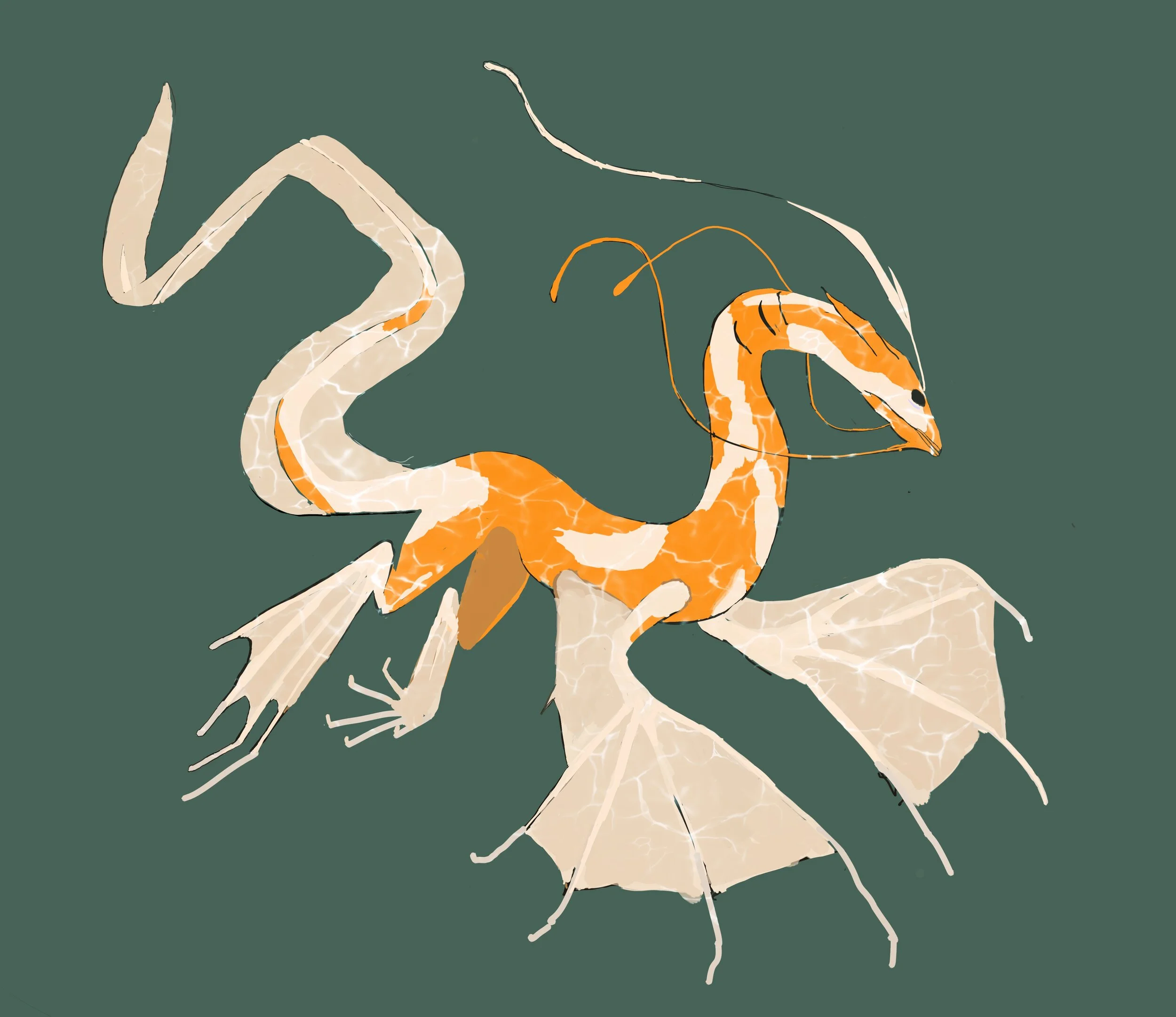 Sea Dragon 