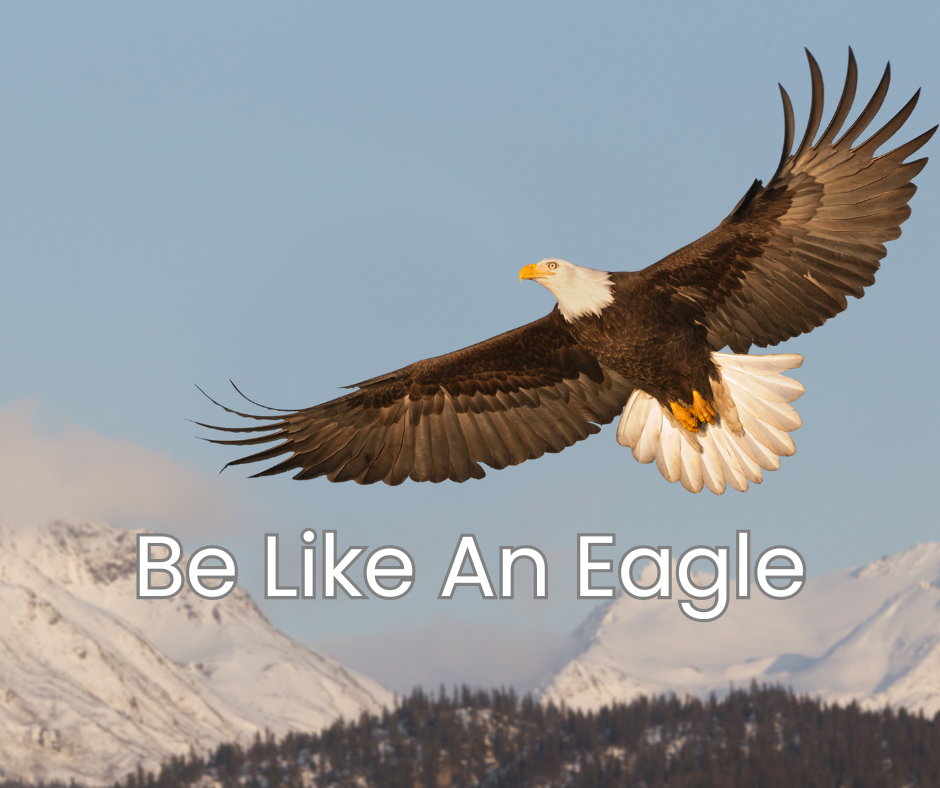 Be Like An Eagle