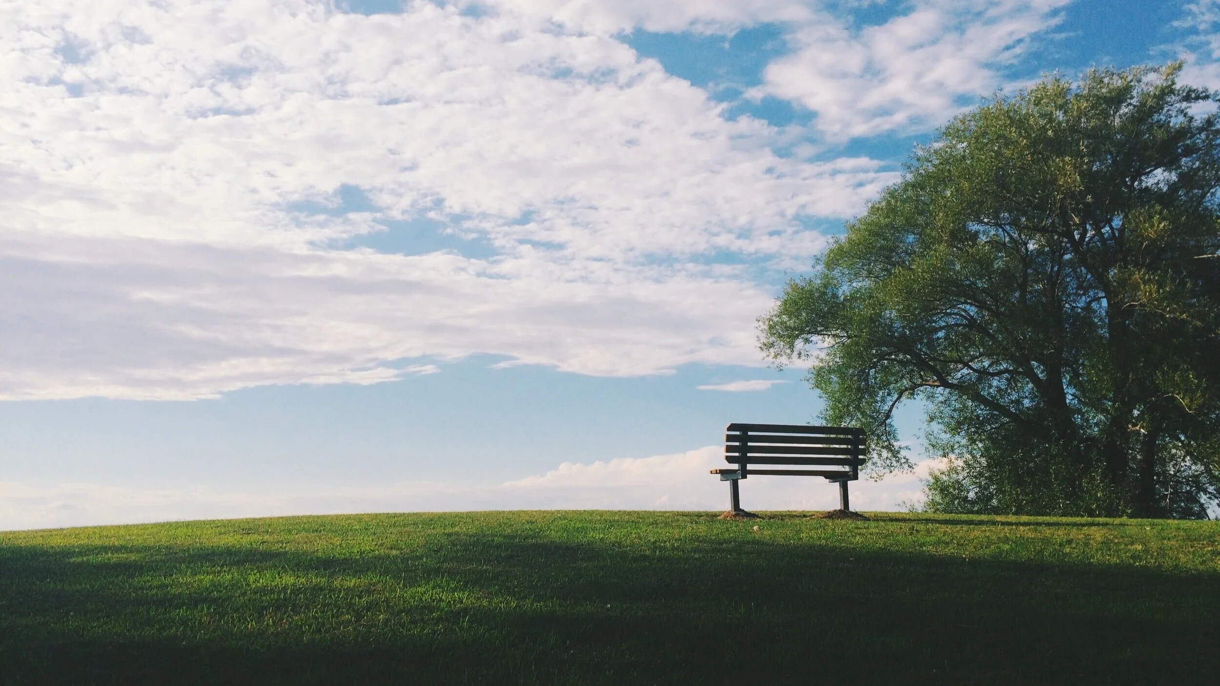 Avoid Probation &amp; Protect Your Family﻿